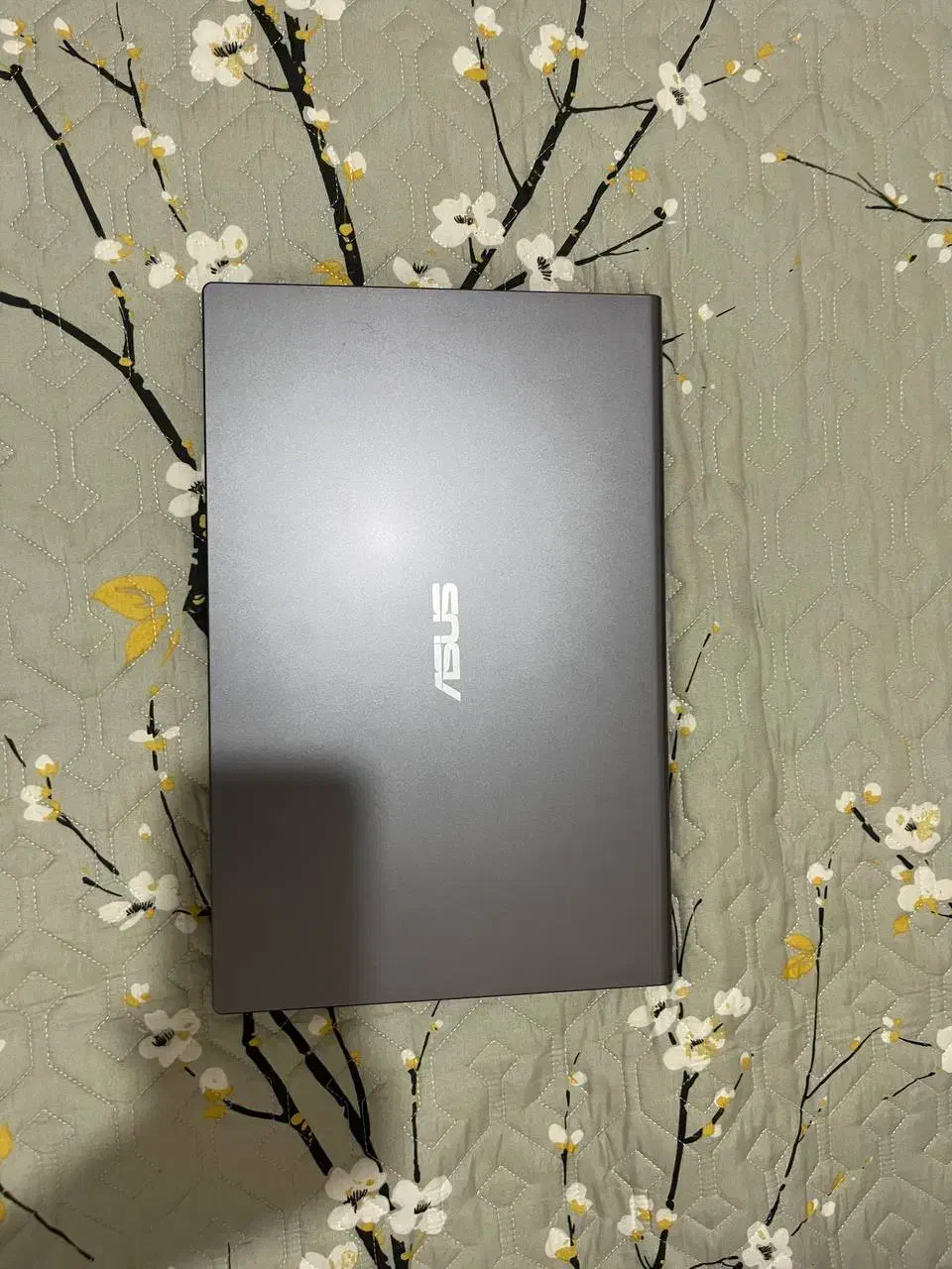 لپ تاپ Asus|رایانه همراه|رودهن, |دیوار