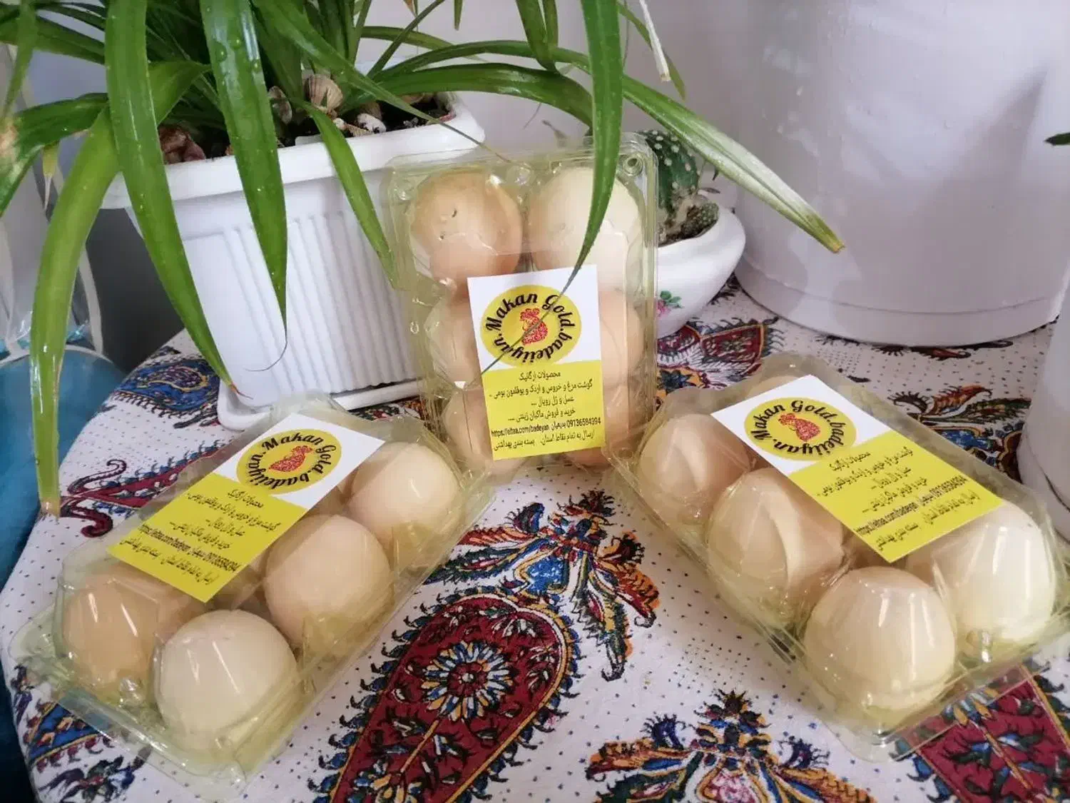 تخم مرغ بومی درشت محصولات ارگانیک ماکان گلد|خوردنی و آشامیدنی|اصفهان, قهاب جنوبی|دیوار