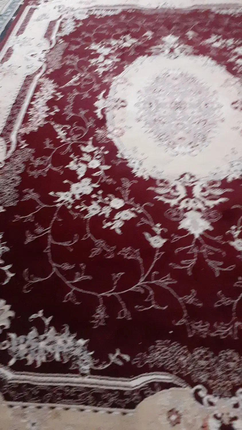 فرش ۶متری|فرش|قم, باجک یک|دیوار