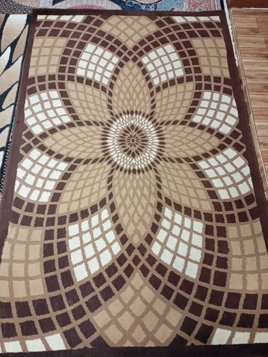 دو عدد فرش در حد نو|فرش|پارسآباد, |دیوار