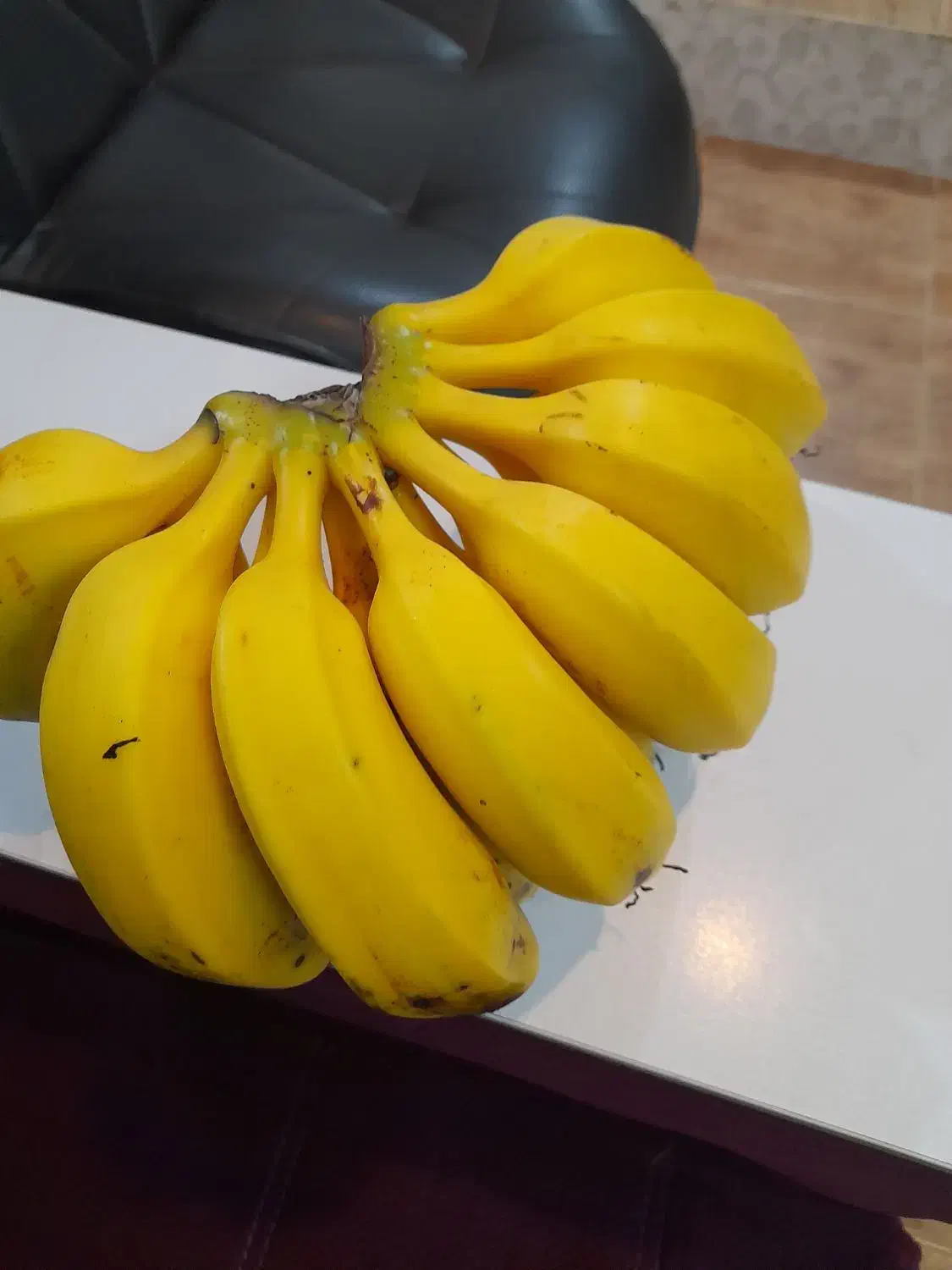 نهالموز سردسیری کاندوش پرحاصل|گل و گیاه طبیعی|اندیشه, اندیشه فاز ۴|دیوار