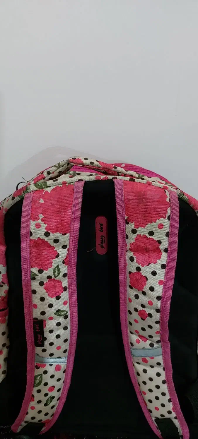 کوله پشتی مدرسه ای|کیف، کفش، کمربند|گنبد کاووس, |دیوار