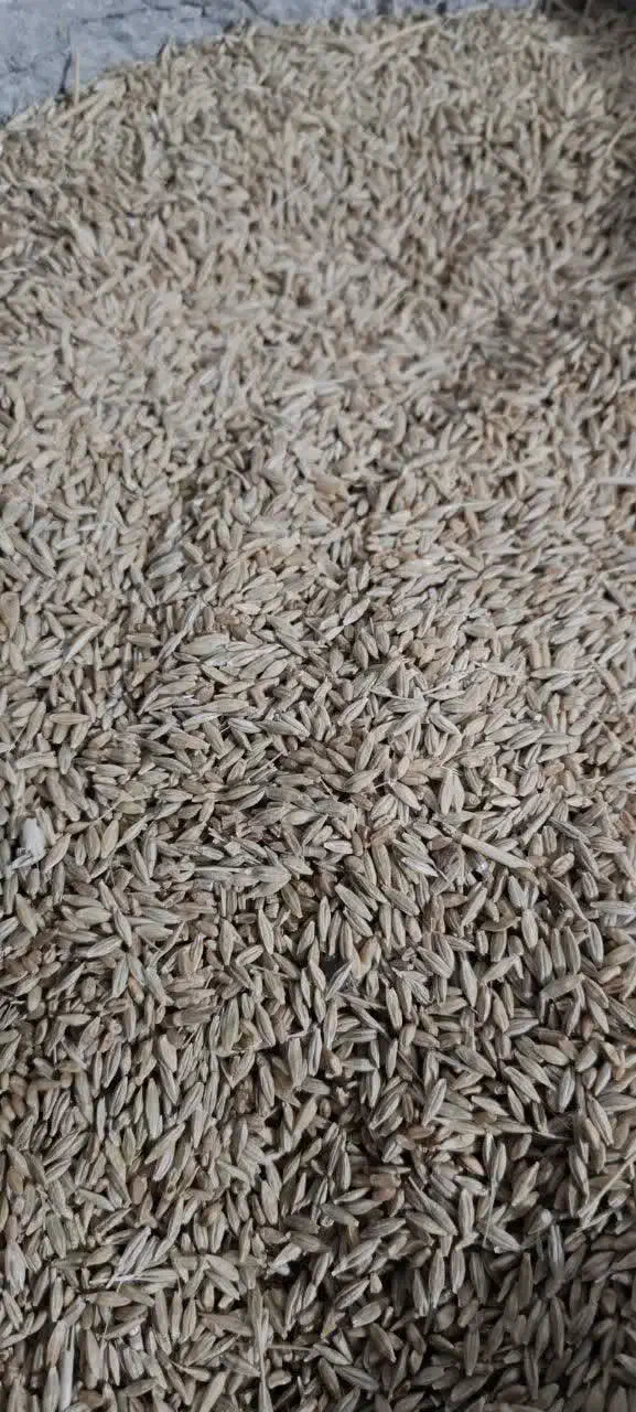 جومحلی|گل و گیاه طبیعی|چگنی, |دیوار