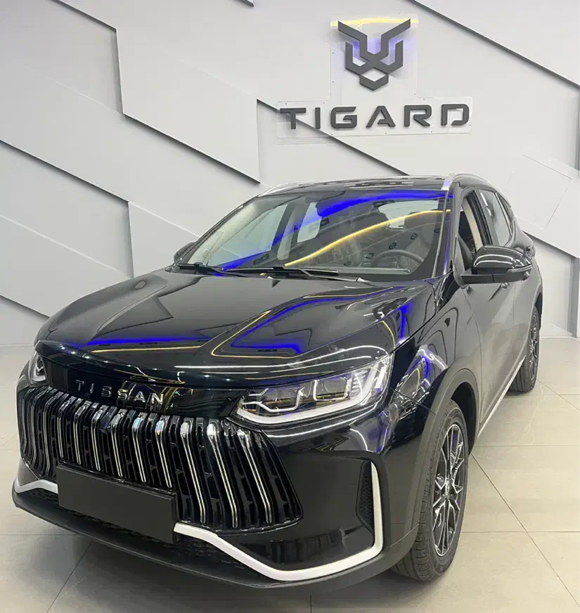 Tissan s05|خودرو سواری و وانت|تهران, اختیاریه|دیوار