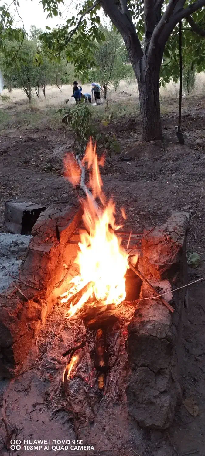 زمبن|فروش زمین و ملک کلنگی|قم, قلعه عموحسین|دیوار