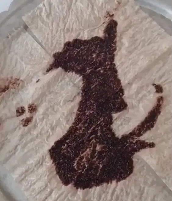 فال و طالع دقیق|خدمات پذیرایی، مراسم|یزد, |دیوار