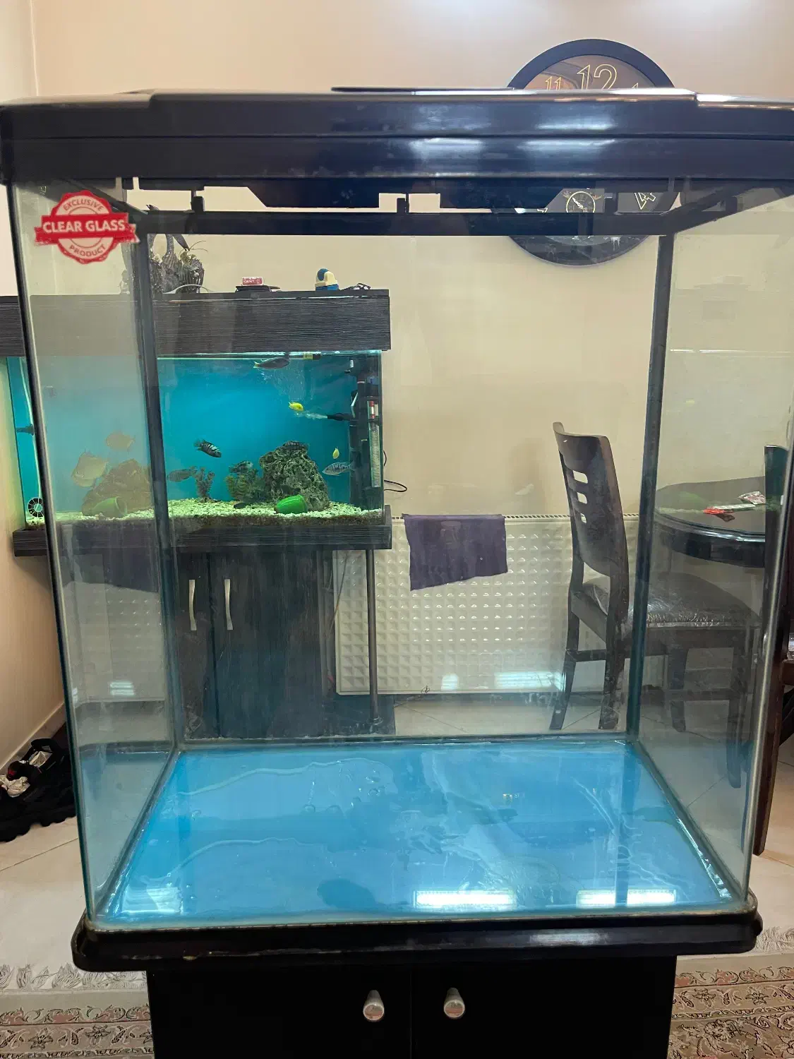 اکوارییوم|ماهی|تهران, اسفندیاری|دیوار