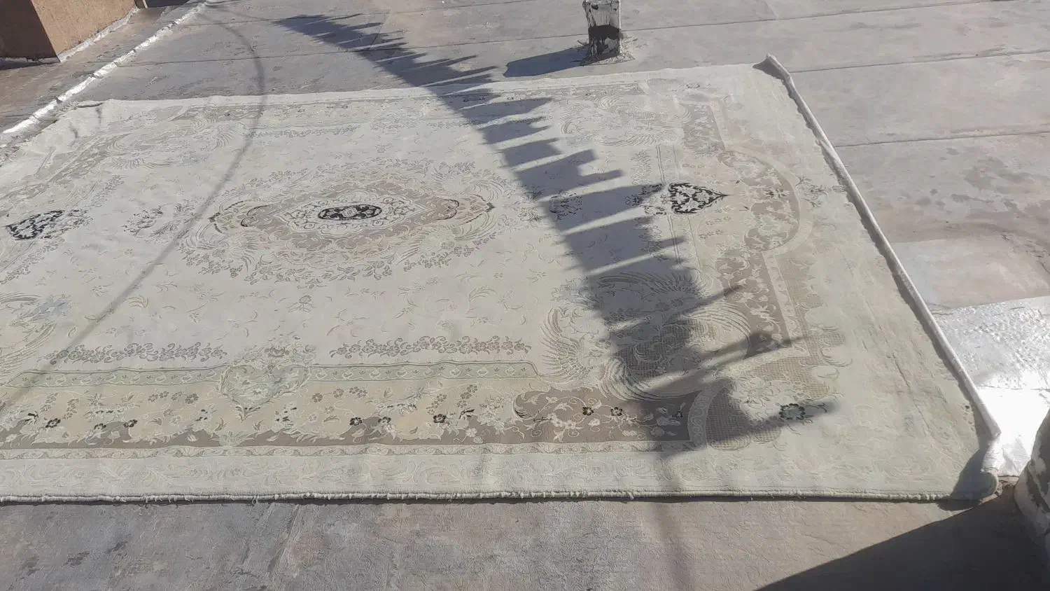 فرش ۱۲متری|فرش|نورآباد, |دیوار