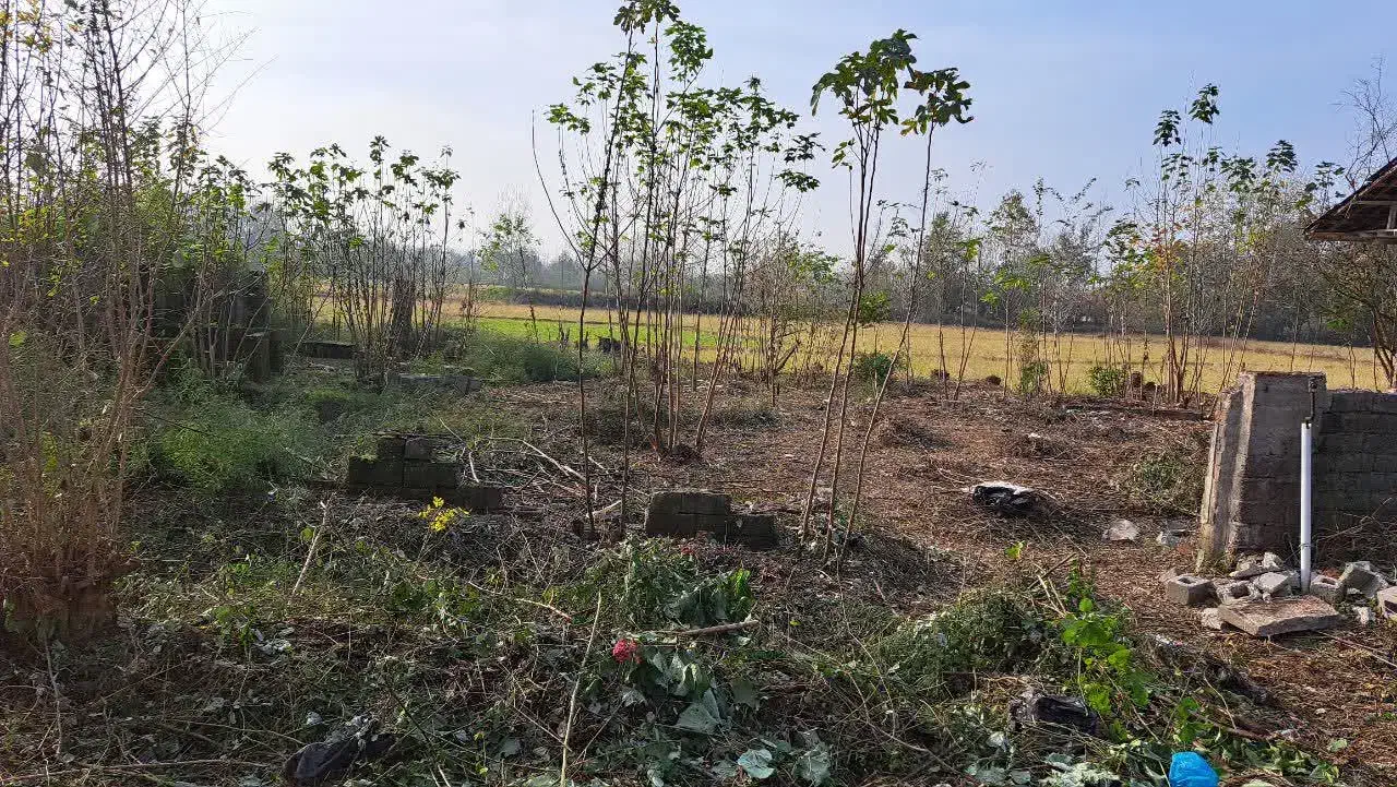 زمین مسکونی با پروانه ساخت با ۱۳ متر بر آسفالت|فروش زمین و ملک کلنگی|رشت, شکار اسطلخ|دیوار