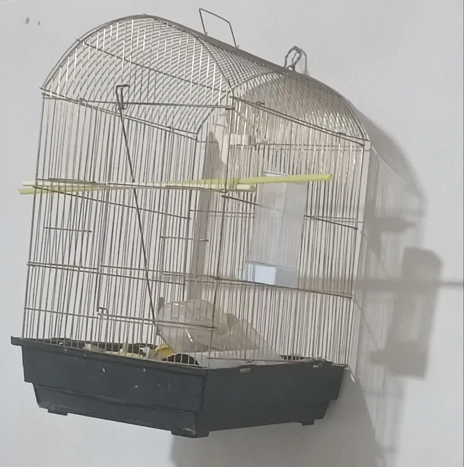 قفس فانتزی|لوازم جانبی حیوانات|اسدآباد, |دیوار