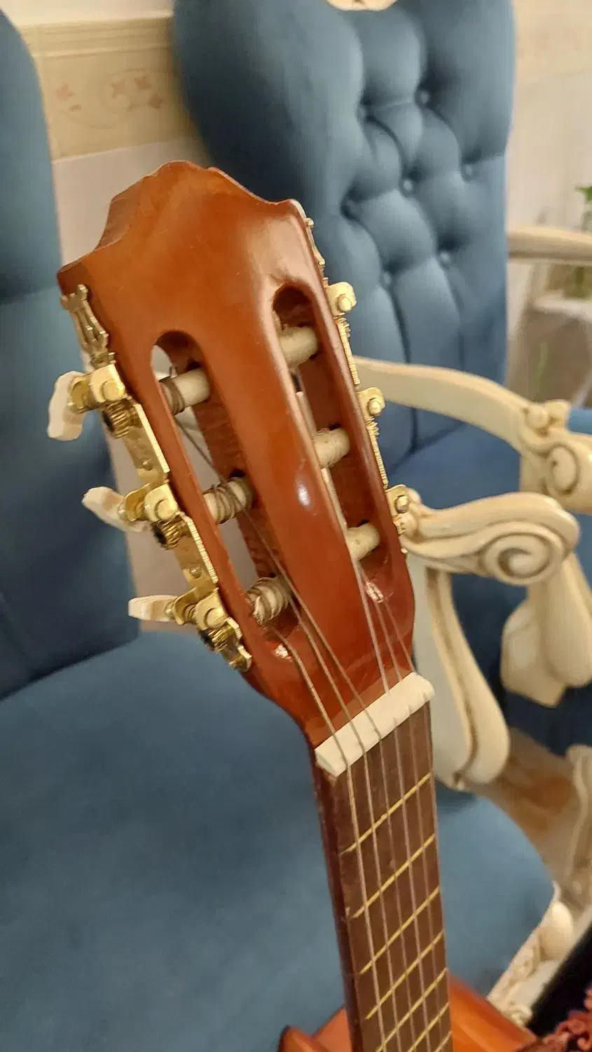 گیتار قیمت توافقی|گیتار، بیس، امپلیفایر|اقبالیه, |دیوار