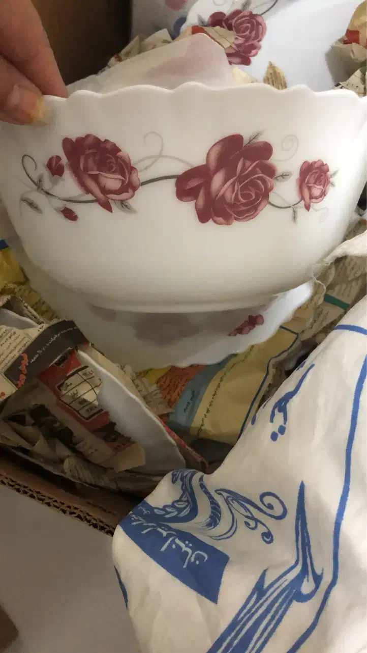 ارکوپال پارس اوپال|ظروف سرو و پذیرایی|کرج, عظیمیه|دیوار