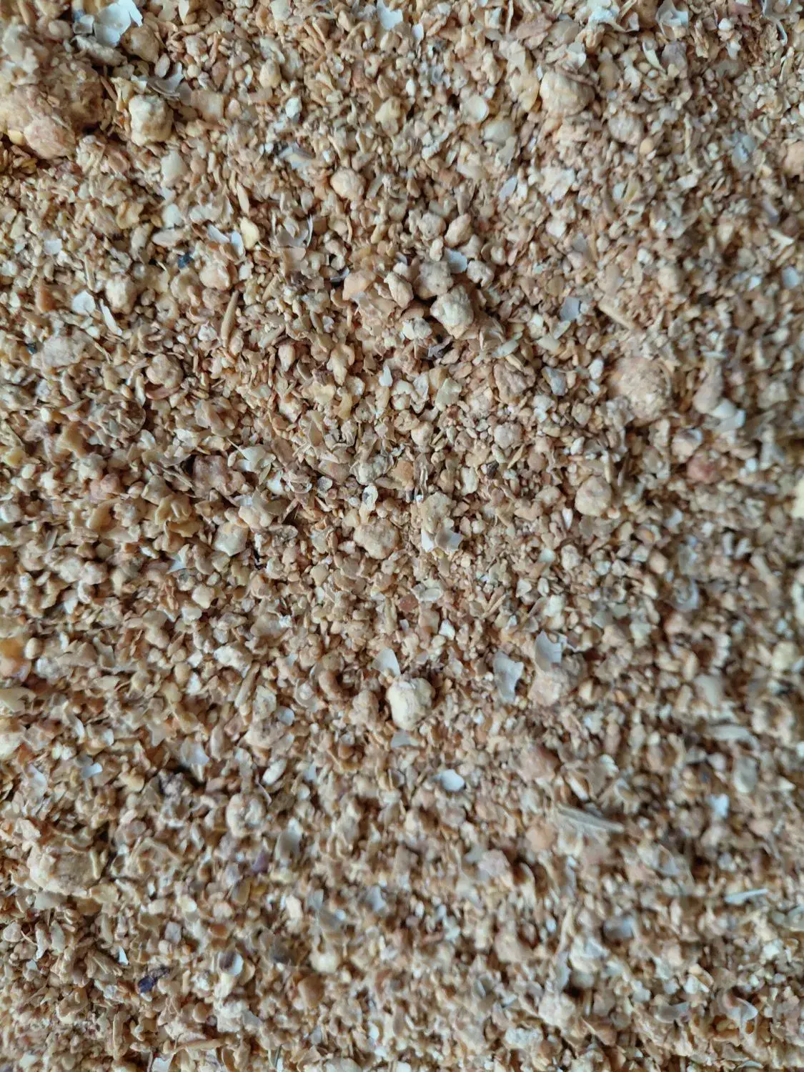 سویا برزیل|عمده‌فروشی|کنگاور, |دیوار