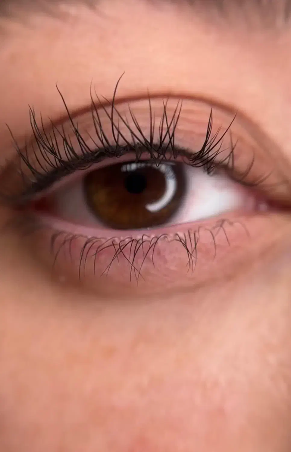 Off50%|بلیت|کرمان, |دیوار