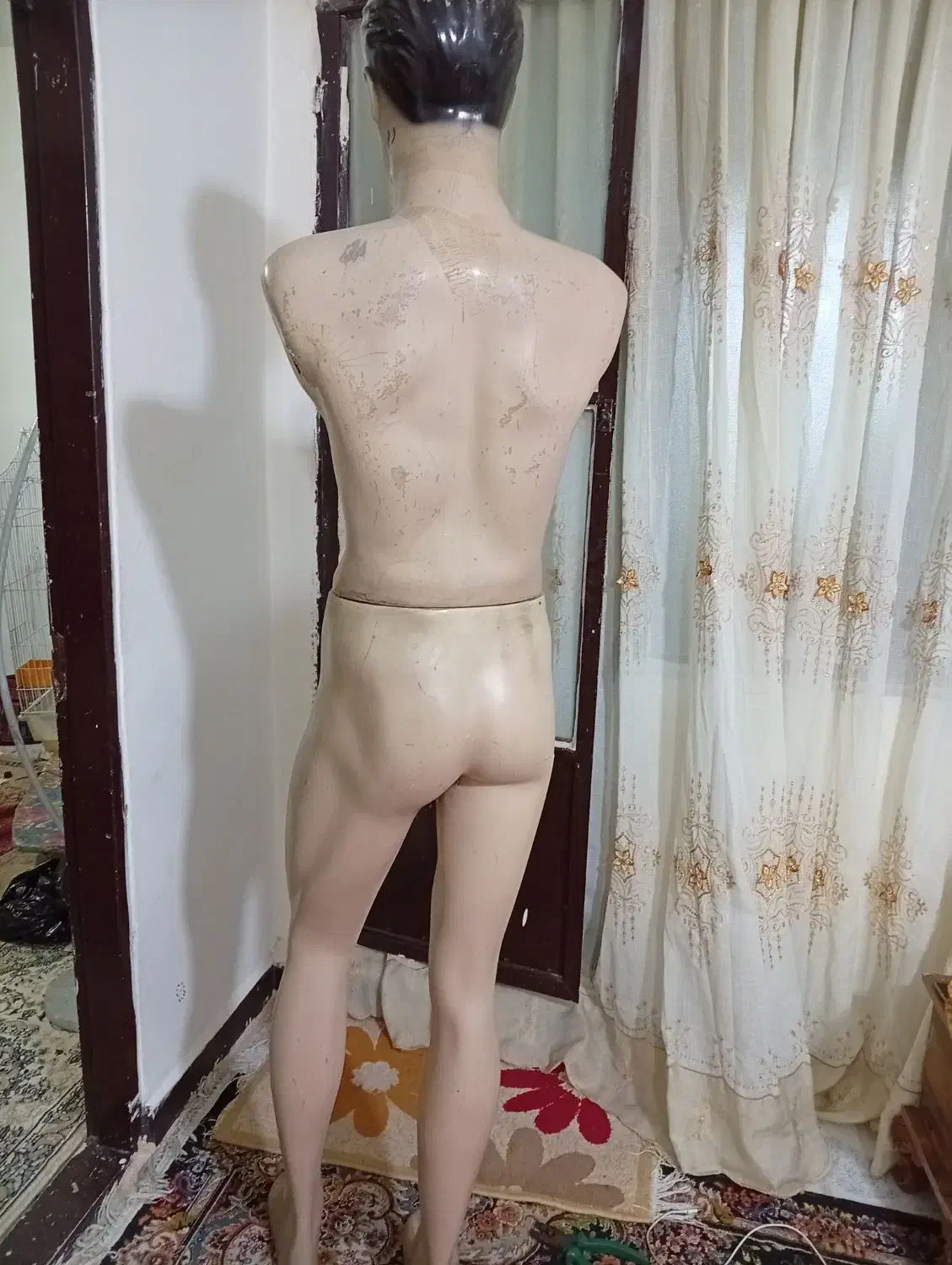 مانکن ویترین قفسه|کتابخانه، شلف، قفسه‌های دیواری|اندیشه, اندیشه فاز ۲|دیوار