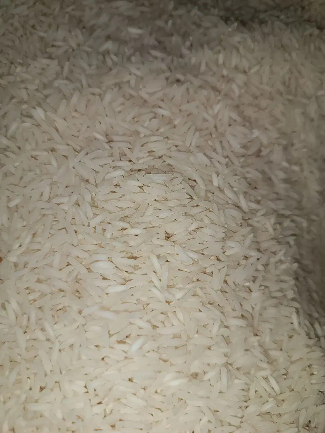 60 کیلو برنج هاشمی صدری|خوردنی و آشامیدنی|قزوین, |دیوار