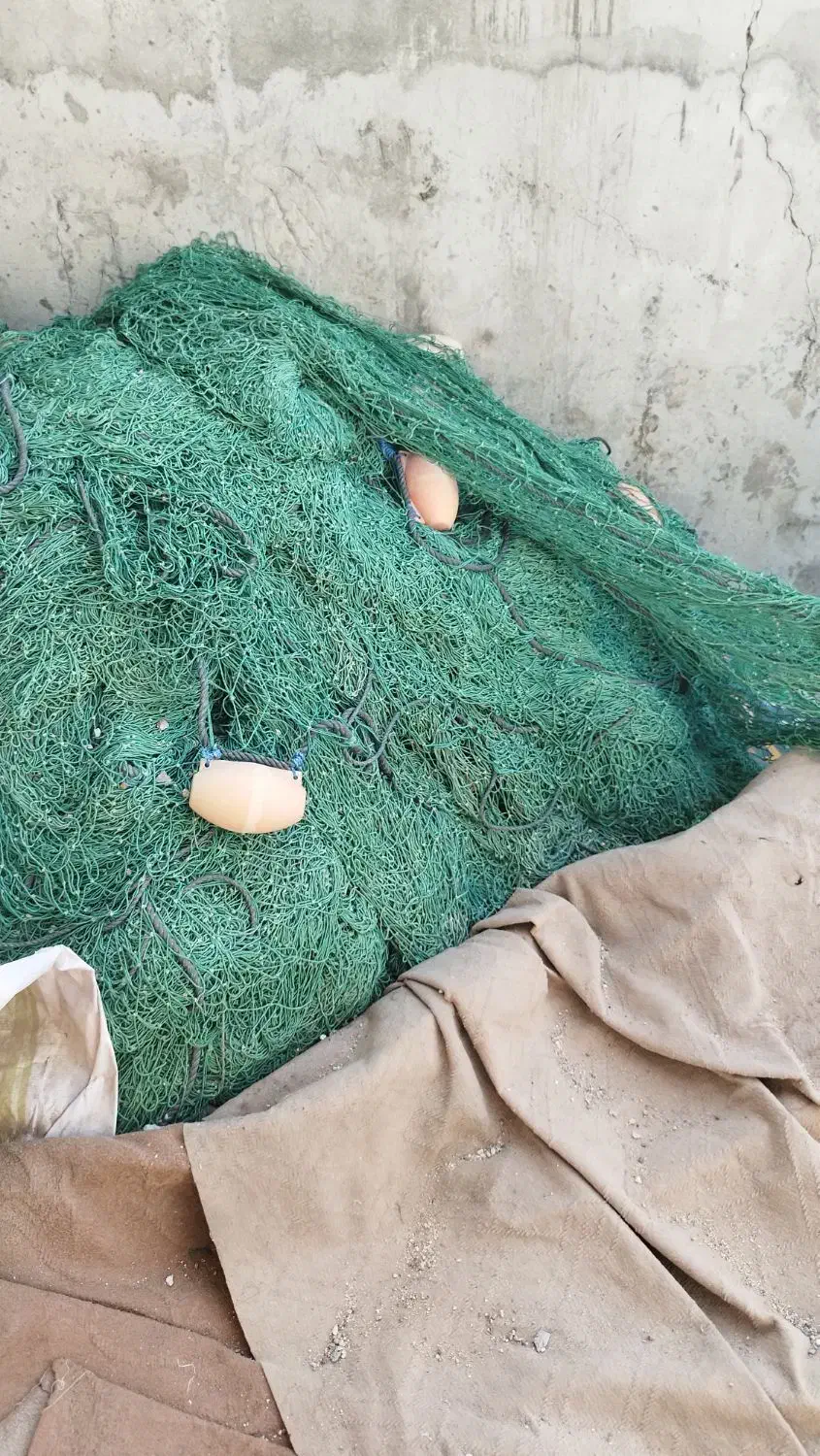 سلام تور شیری نخ 45 چشمه 6/5 تمیز تمیز آماده صید|ماهیگیری|بندر کنگان, |دیوار