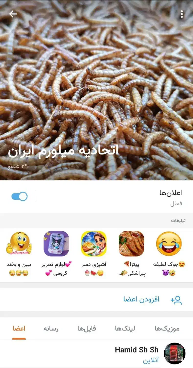 کرم لارو میلورم اتحادیه هماهنگی کشوری|خزنده|اصفهان, شهرک امام خمینی|دیوار