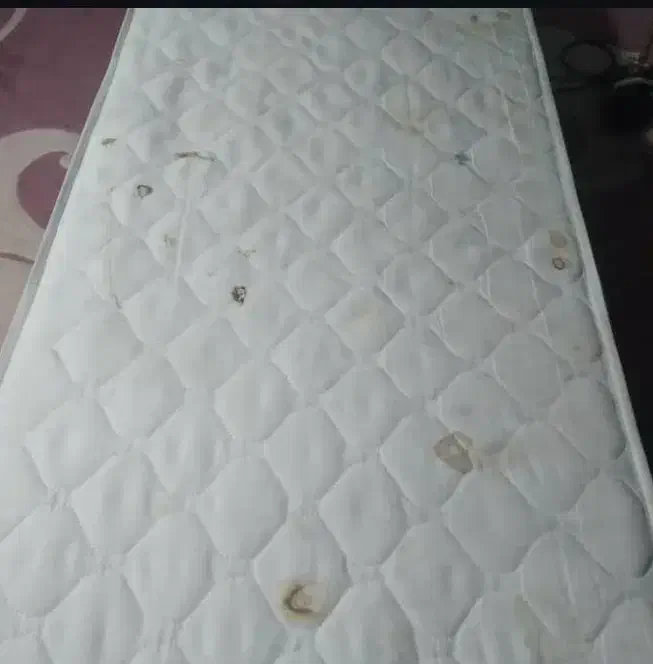 مبل شویی ، اطمینان|خدمات نظافت|سمنان, |دیوار