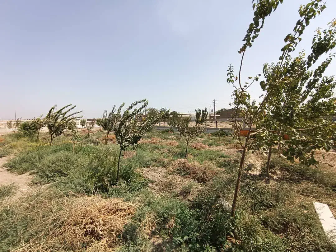 قطعات زمین وباغچه ۴۰۸متری اسلامشهر  چیچکلو|فروش دفتر صنعتی، کشاورزی، تجاری|اسلام‌شهر, شهرک صنعتی چیچکلو|دیوار