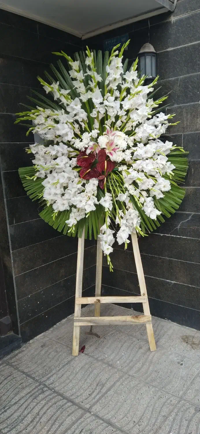 تاج گل|گل و گیاه طبیعی|تهران, فرحزاد|دیوار