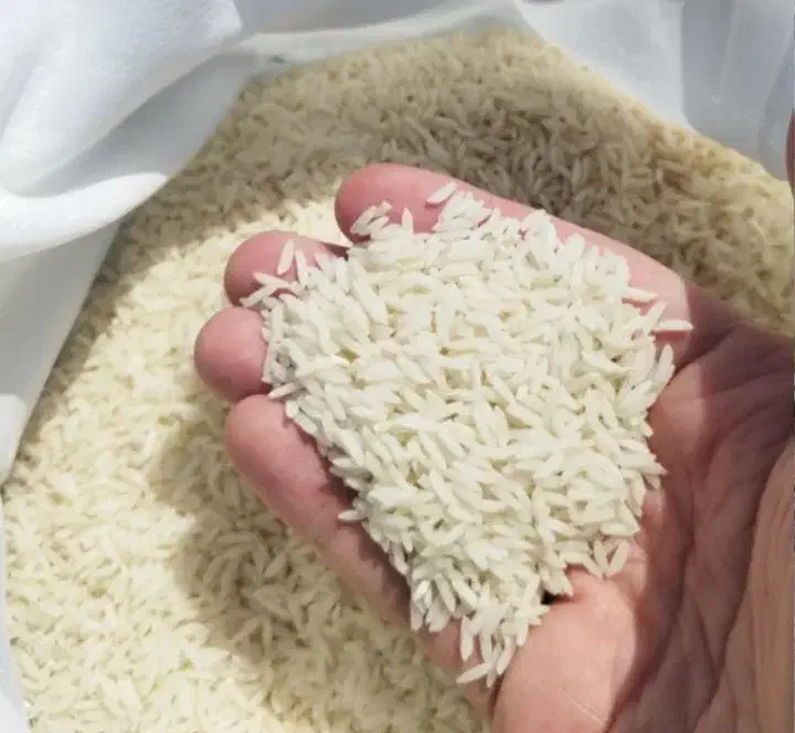 برنج طارم هاشمی|خوردنی و آشامیدنی|بندر ترکمن, |دیوار