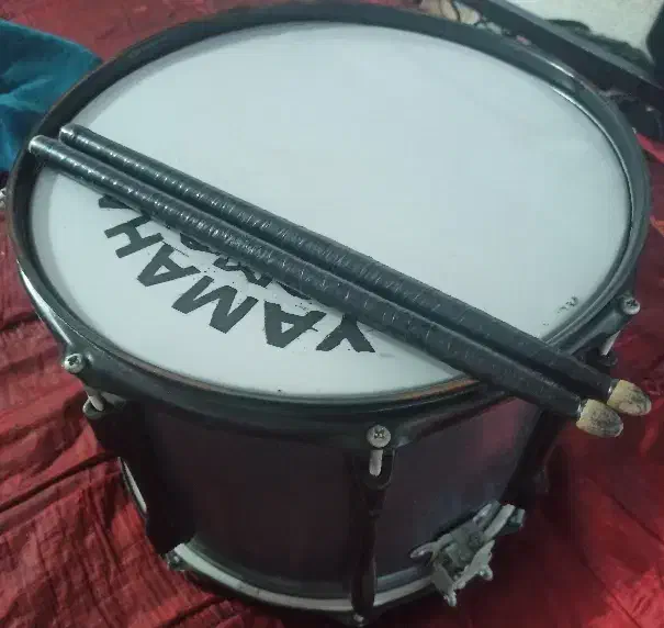 طبل|درام و پرکاشن|پارس‌آباد, |دیوار