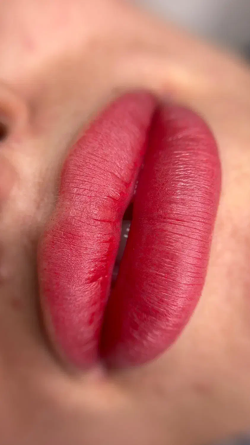 شیدینگ لب|خدمات آرایشگری و زیبایی|مشهد, سجاد شهر|دیوار