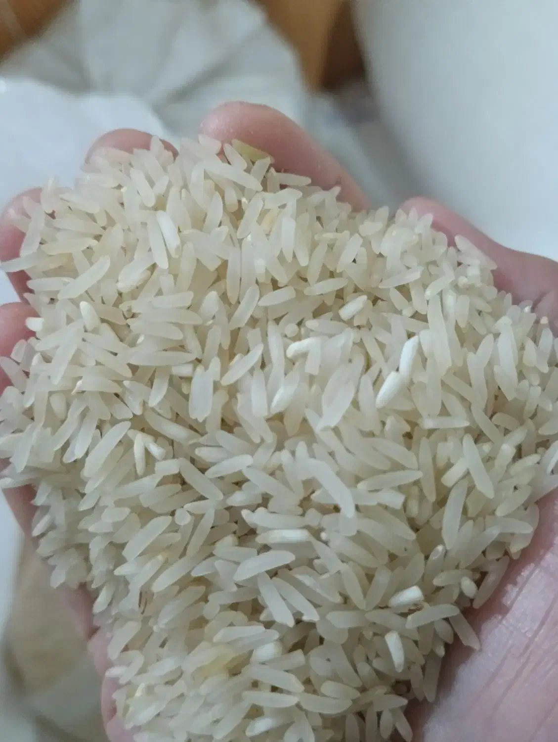 برنج فجر|خوردنی و آشامیدنی|آق قلا, |دیوار