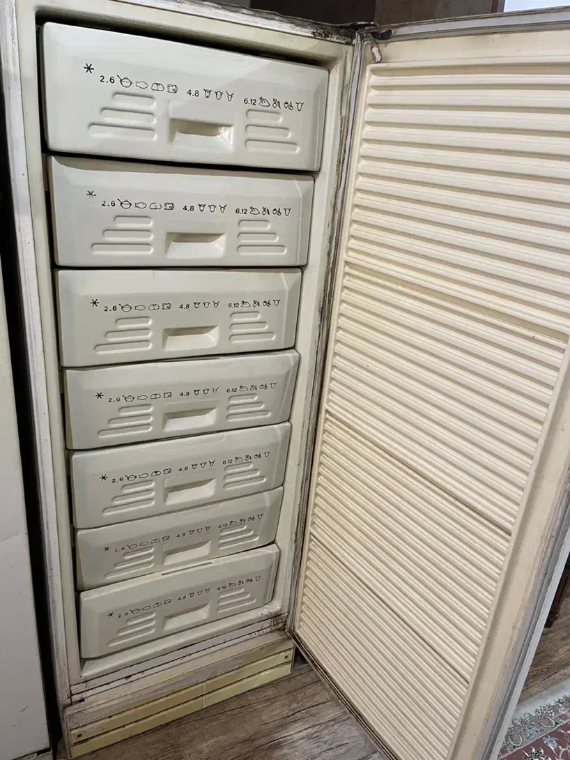 یخچال فریزر دوقلو فیلور پارس|یخچال و فریزر|دابودشت, |دیوار