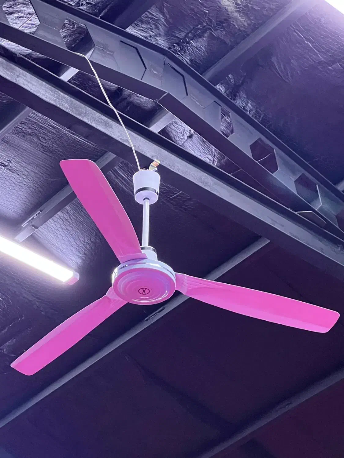 پنکه سقفی|پنکه و تصفیه‌کنندهٔ هوا|پاکدشت, پاکدشت (مامازند)|دیوار