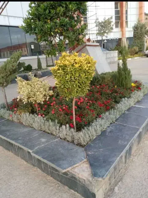 خدمات کلیه باغبانی باغچه کاری کاشت گل وگیا به تمام|خدمات باغبانی و درختکاری|تهران, ستارخان|دیوار