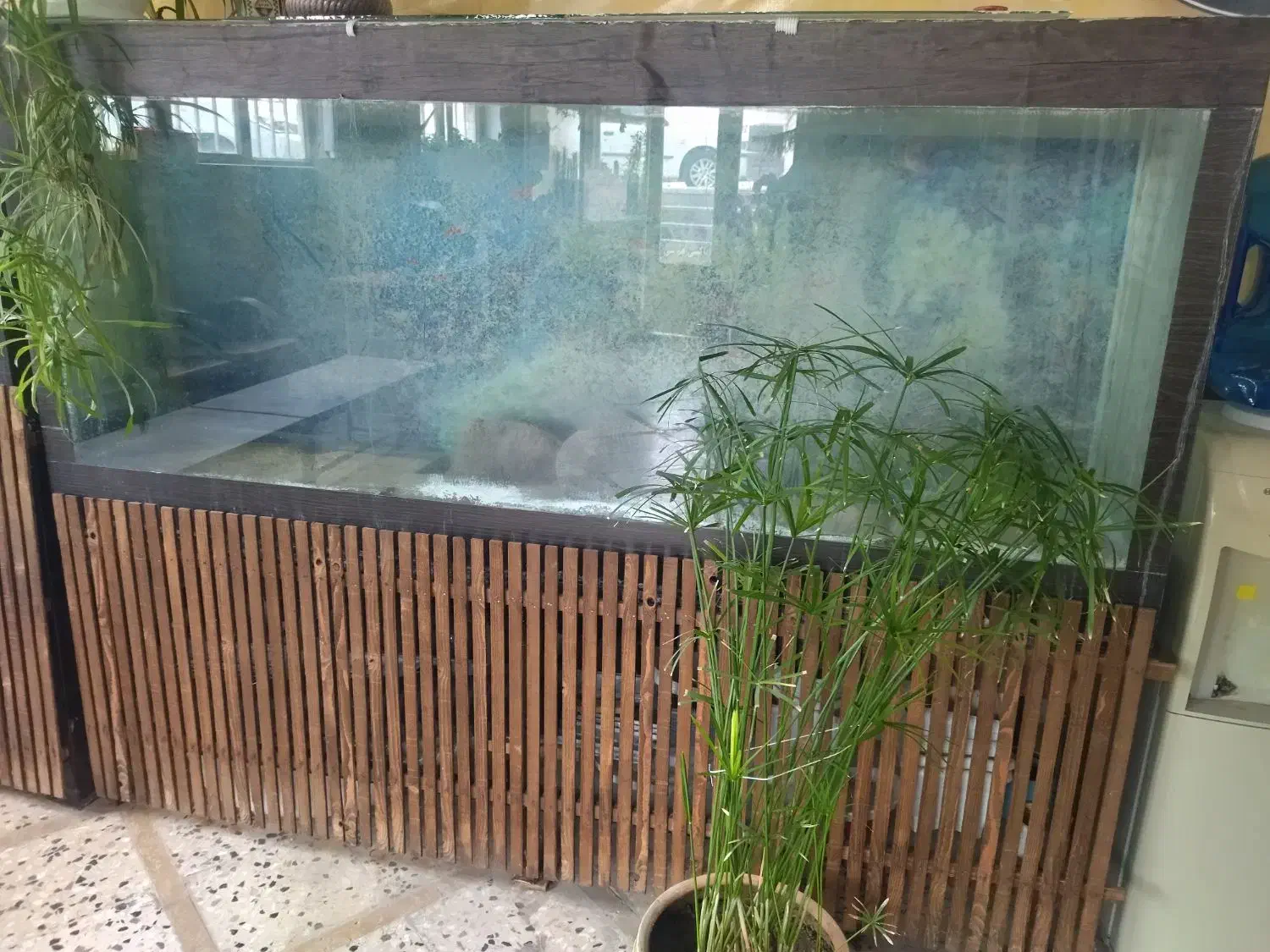 اکواریوم ۲متری|ماهی|بجنورد, |دیوار