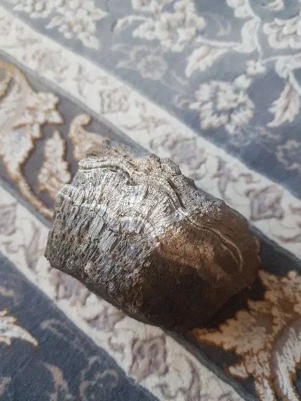 سنگ|کلکسیون اشیاء عتیقه|شیراز, شهرک ایثار|دیوار