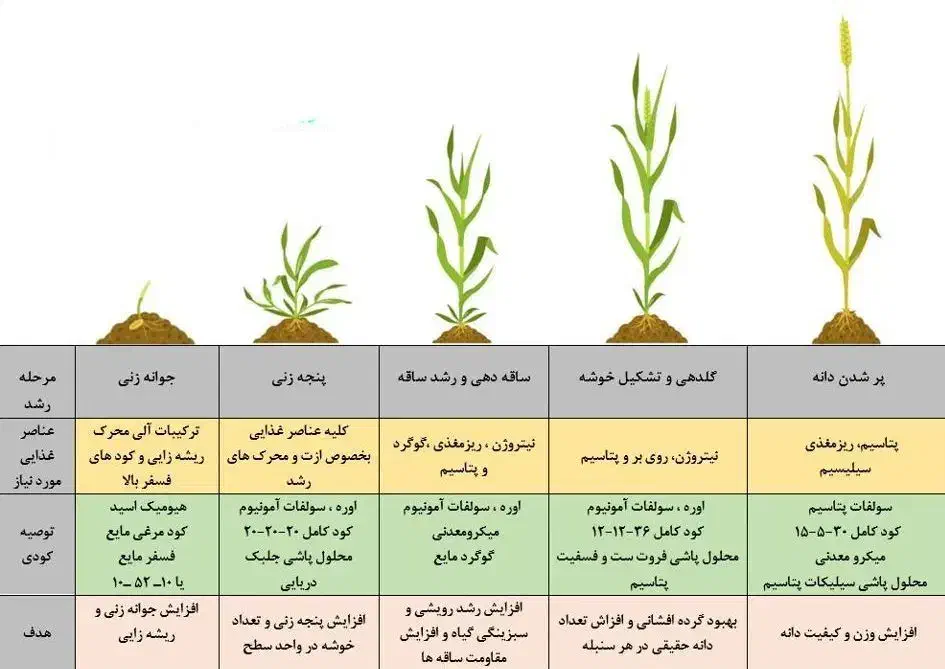 کود گیاهی ارگانیک، افزایش تناژ، کاهش آبیاری|خدمات باغبانی و درختکاری|زنجان, |دیوار