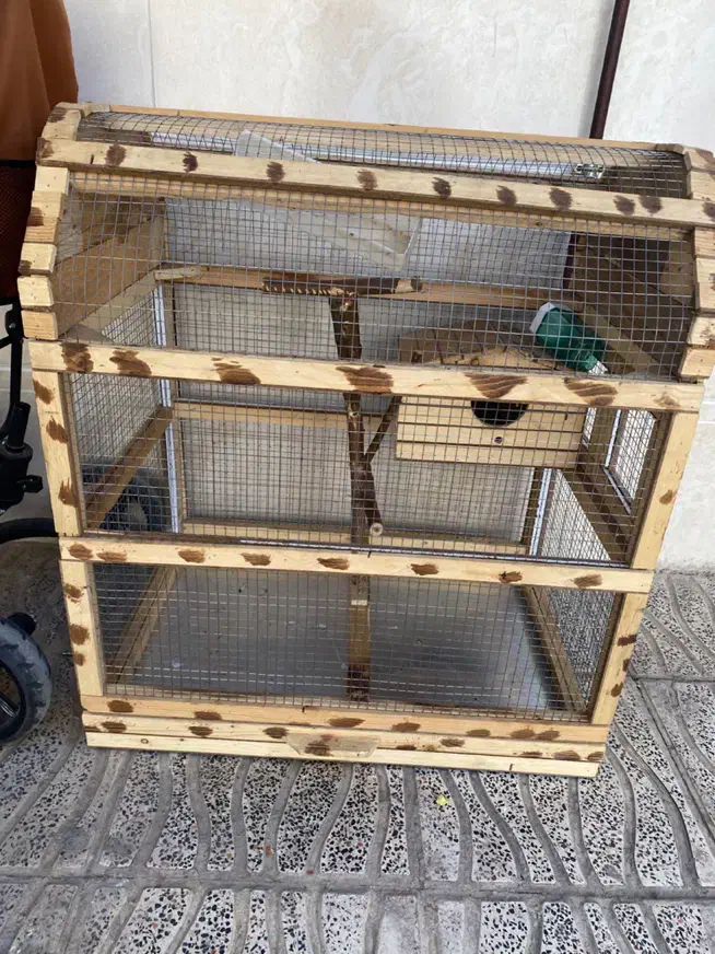 قفس|لوازم جانبی حیوانات|کوهدشت, |دیوار