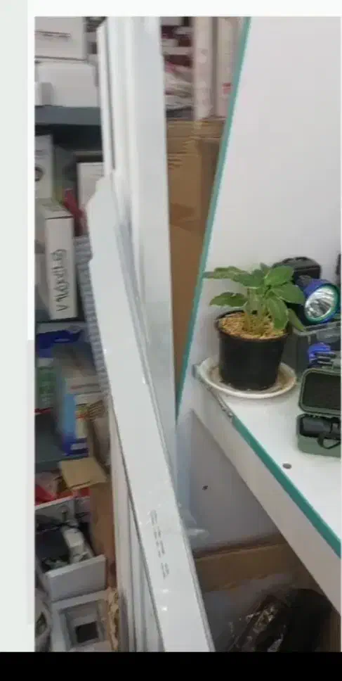 لاین نوری|لامپ و چراغ|یزد, |دیوار