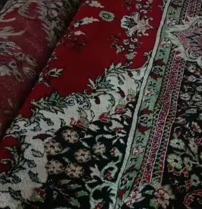 موکت|موکت|دوگنبدان, |دیوار