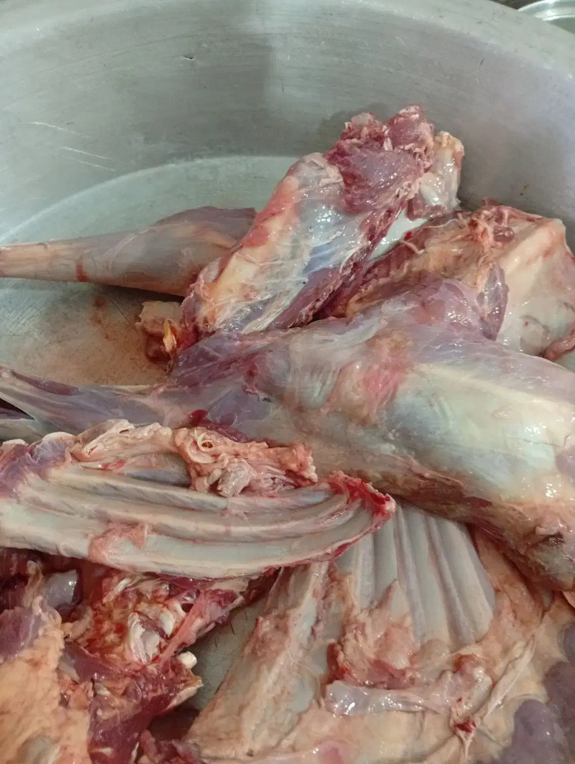 گوشت گوسفند|خوردنی و آشامیدنی|قرق, |دیوار