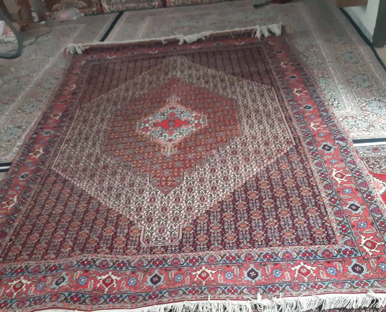 فروش فرش دست باف|فرش|سنندج, |دیوار