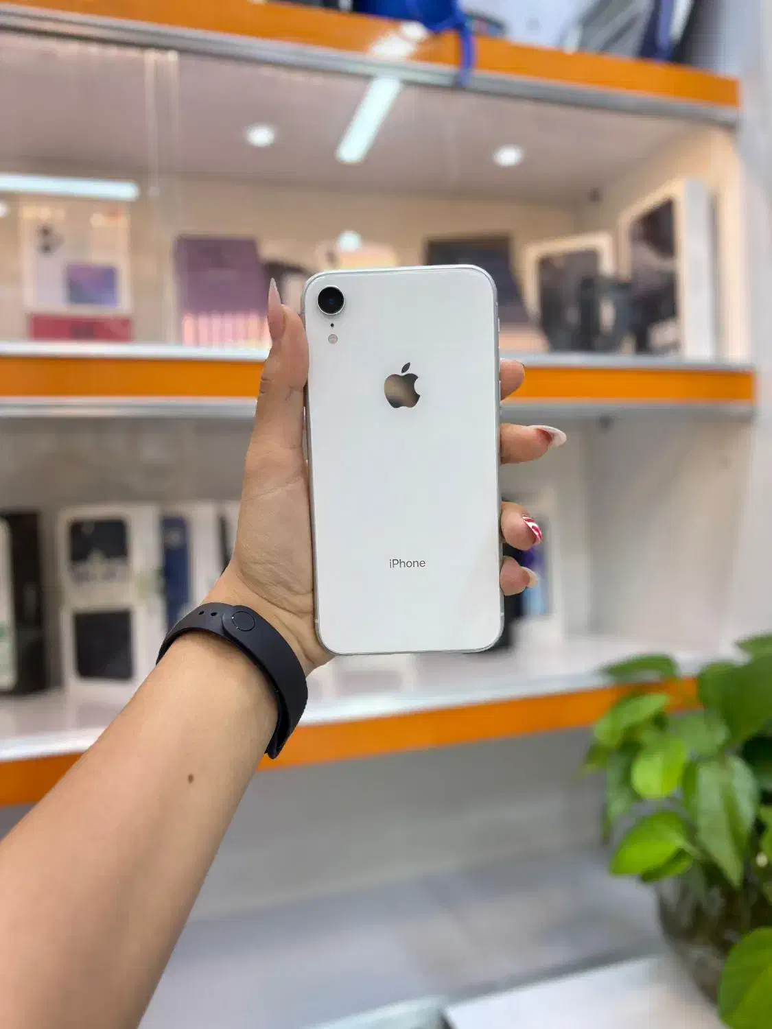 iPhone XR آیفون ایکس آر|موبایل|شیراز, ملاصدرا|دیوار