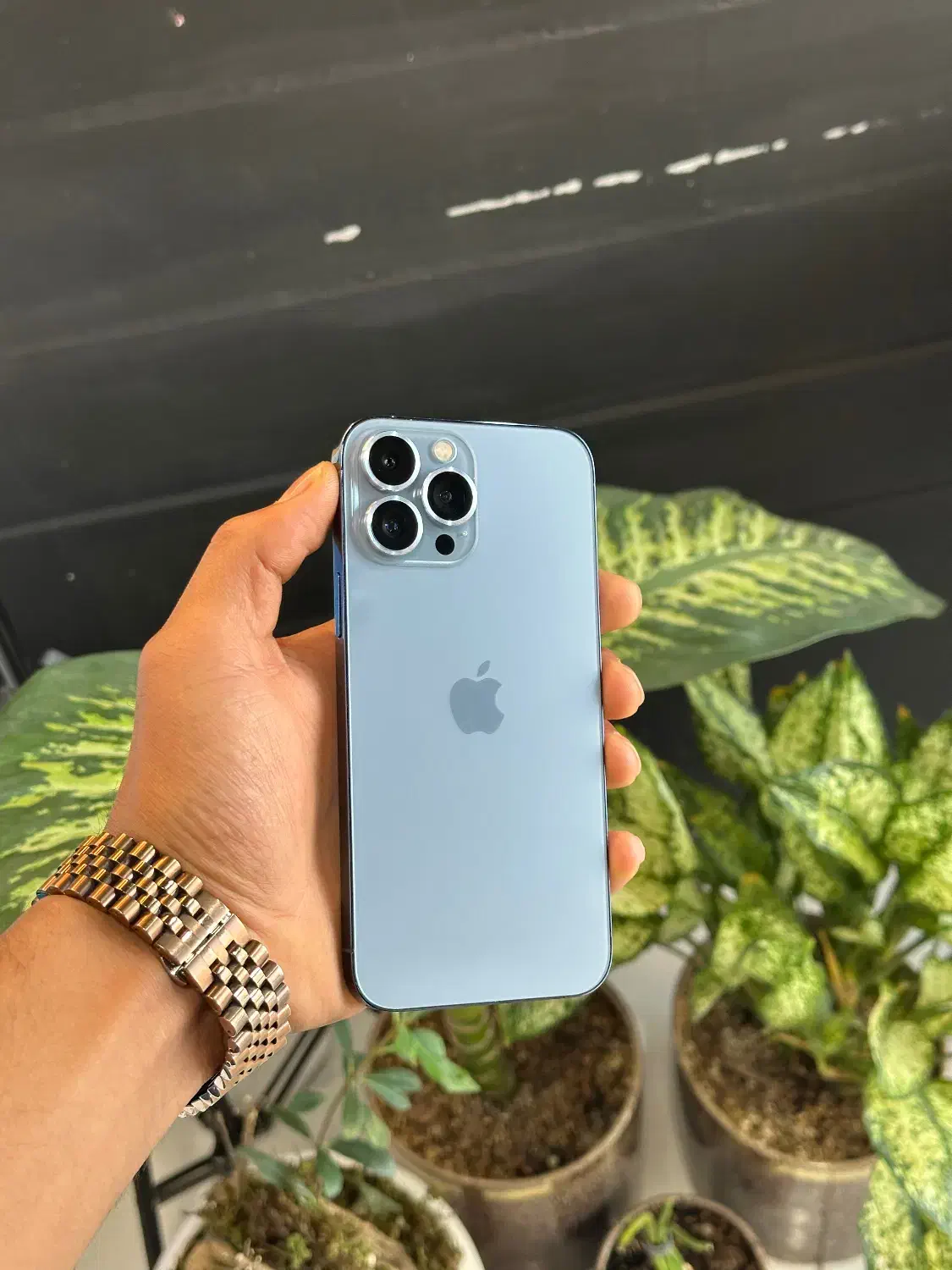 آیفون ۱۳ پرو مکس ۱۰۰۰ گیگ|موبایل|قم, علی آباد سعدگان|دیوار