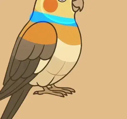 مرغ عشق|پرنده|محلات, |دیوار