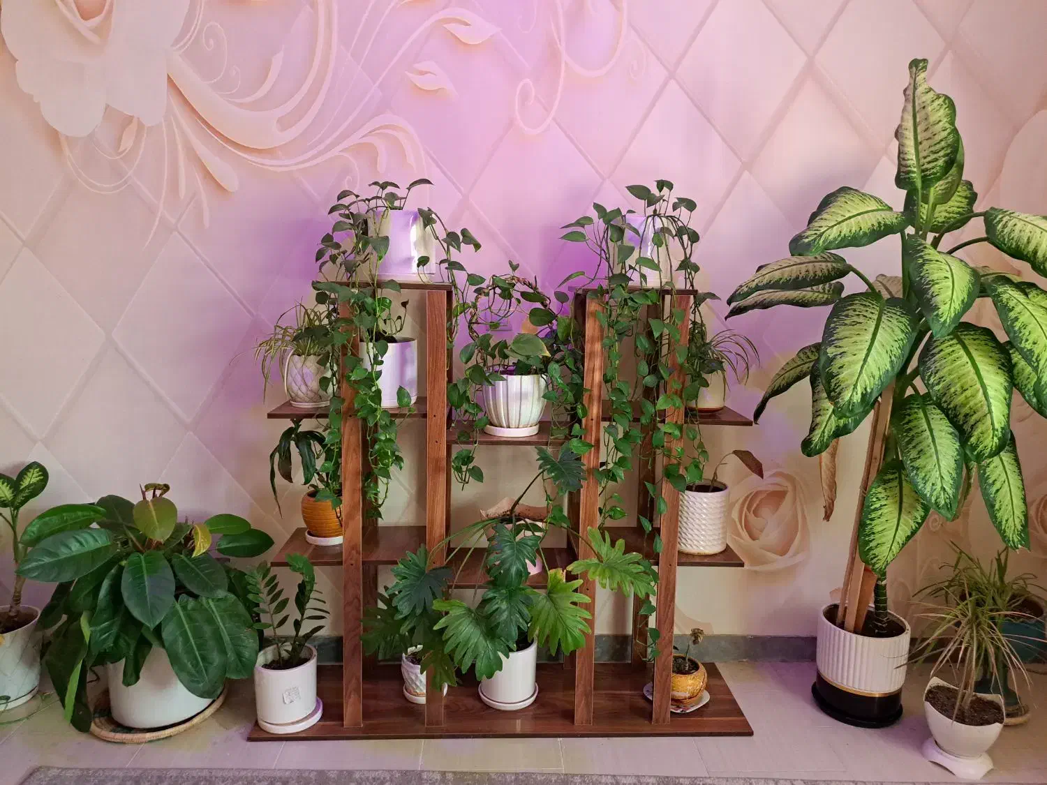 فروش استند به همراه گلدان ها|گل و گیاه طبیعی|دوگنبدان, |دیوار