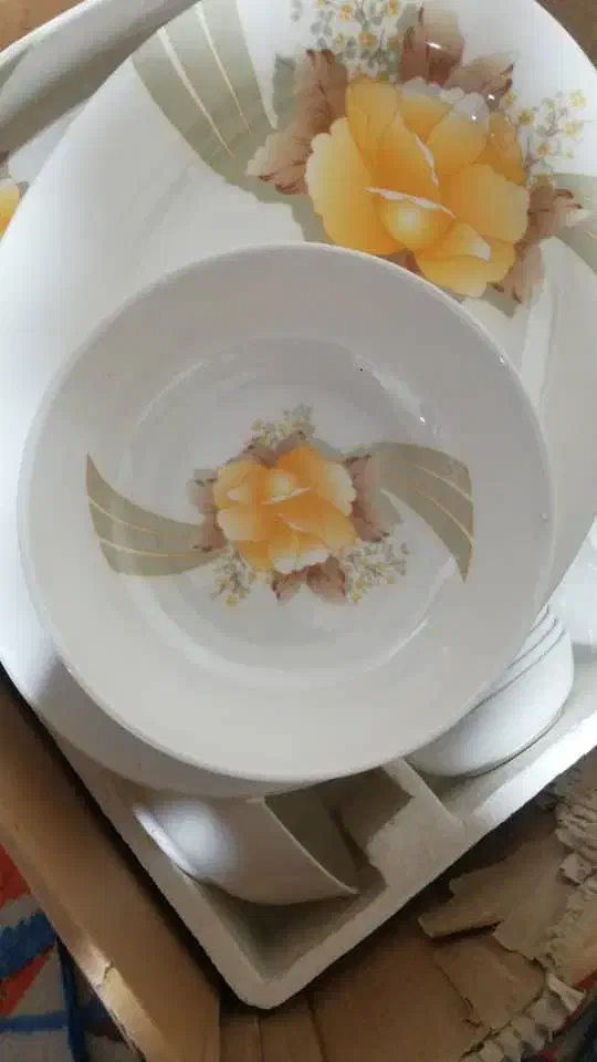 تعدادی ظروف چینی و میلامین|ظروف سرو و پذیرایی|شیراز, فرگاز|دیوار