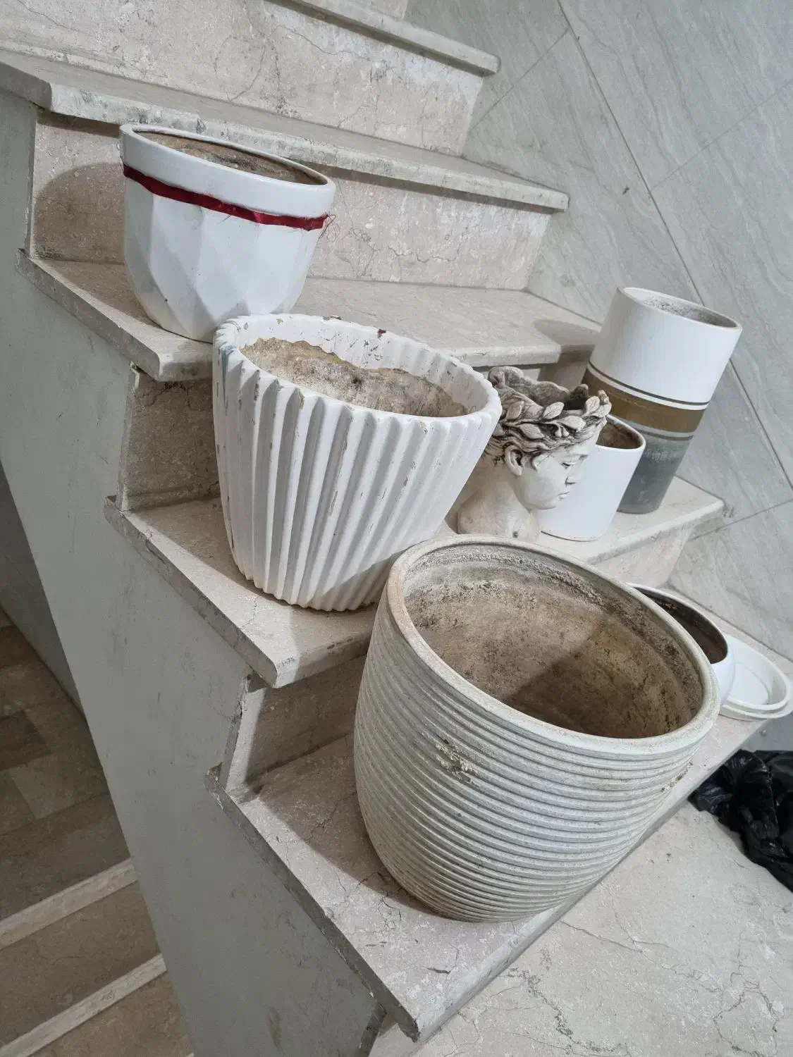 گلدان|گل و گیاه طبیعی|پاکدشت, پاکدشت (مامازند)|دیوار