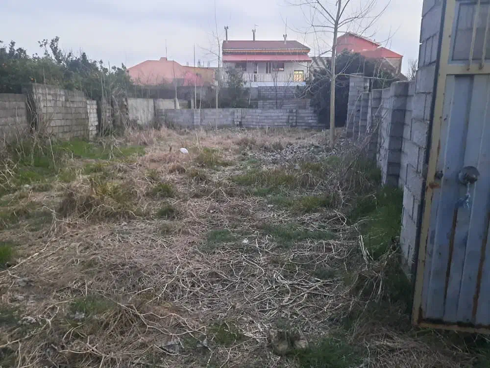 فروش زمین مناسب ساخت در وحدت|فروش زمین و ملک کلنگی|لاهیجان, بوجایه|دیوار