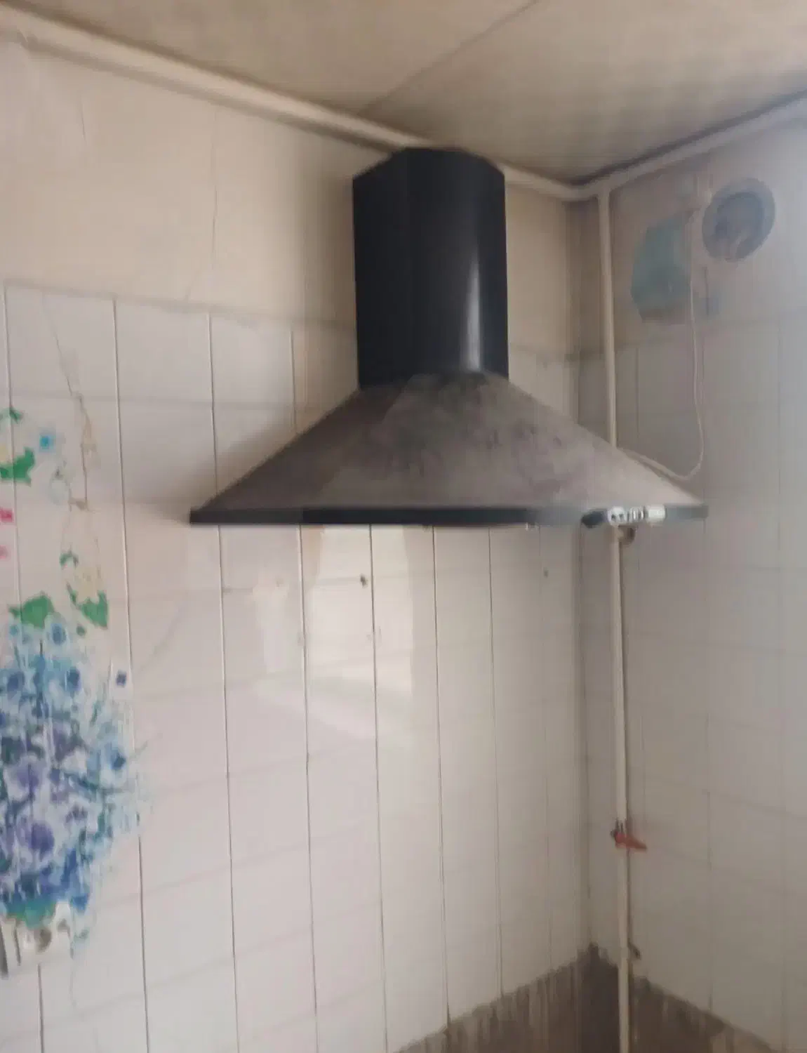 هود|هود|مسجد سلیمان, |دیوار