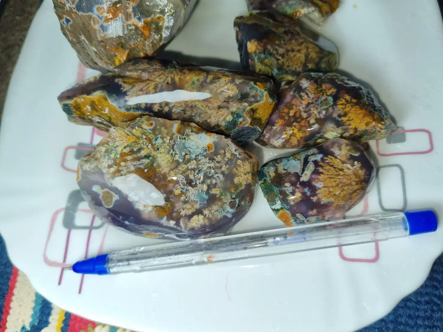 شجر|کلکسیون اشیاء عتیقه|فردوس (خراسان), |دیوار