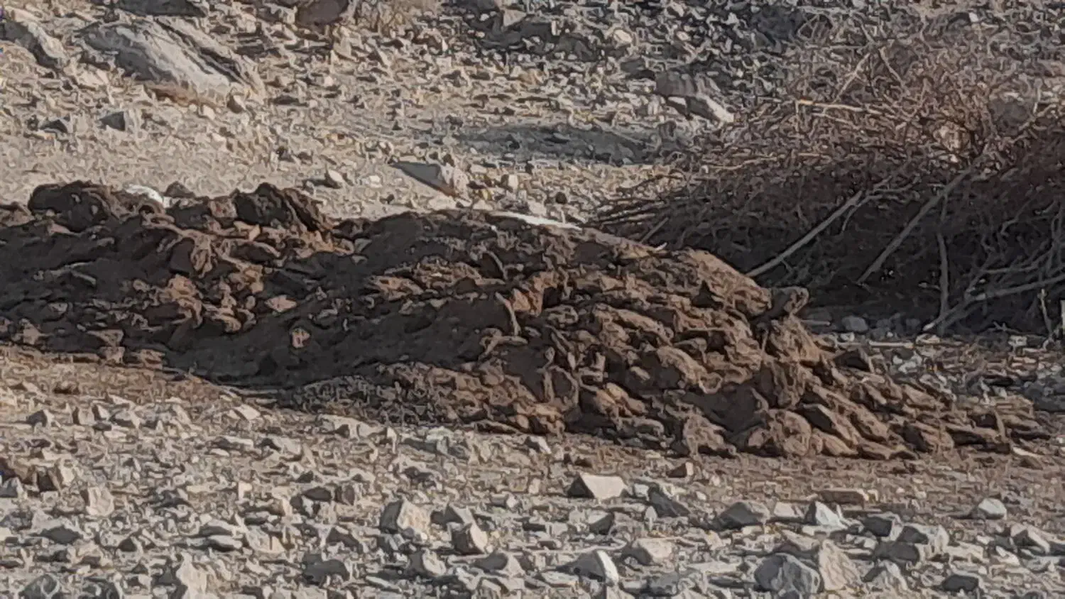 کود|خدمات باغبانی و درختکاری|جیرفت, |دیوار